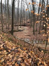 It is primarily open fields, woods. Best Trails In Cromwell Valley Park Maryland Alltrails