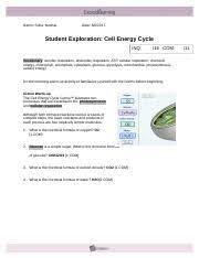 Find a+ essays, research papers, book notes, course notes and writing tips. Student Exploration Cell Energy Cycle Gizmo Answer Key Pdf