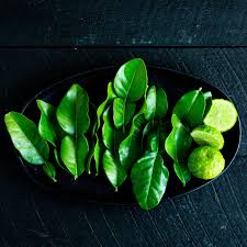 fresh makrut lime leaves