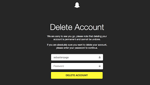 Type in your password and click continue. How To Delete Your Snapchat Account Or Change Your Username