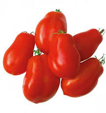 RÃ©sultat de recherche d'images pour "tomates roma"