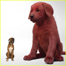 The 10 best movies of 2021 so. First Look Teaser Release Date For Clifford The Big Red Dog Revealed Watch Clifford The Big Red Dog Darby Camp Movies Video Just Jared Jr