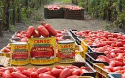 Why do chefs use San Marzano tomatoes?