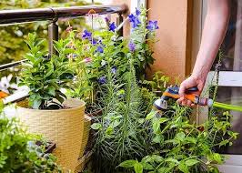 How To Make A Balcony Herb Garden