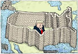 Image result for trump cartoon