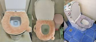 This Fluffy Toilet Seat Cover Comes