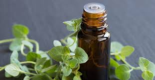 9 Benefits and Uses of Oregano Oil