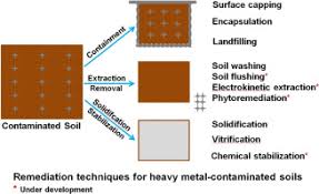 Remediation Techniques For Heavy Metal Contaminated Soils