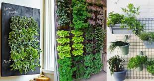 15 Edible Living Wall Ideas For Small