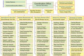 Organization Structure Htm