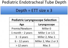17 Prototypical Pediatric Endotracheal Tube Size Chart