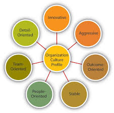 Characteristics Of Organizational Culture