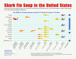 Some At Risk Shark Species Are Ending Up In U S Soups The