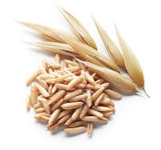 oats union point custom feeds