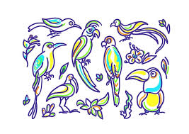 Vector Set Of Wild Tropical Bird Color