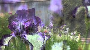 brooks gardens peony iris farm