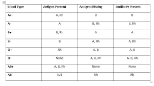 Blood Types Antigen And Antibodies Table And Definition