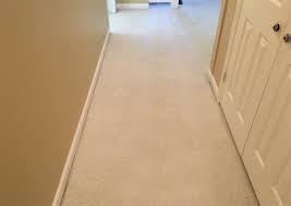 albany carpet cleaning good and clean