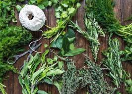 Grow An Herbal Tea Garden Indoors