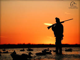 duck hunting wallpapers top free duck