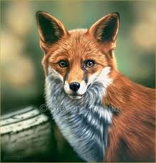 I also do offer lingham relaxation and i'm an expert in this art. Fox Print Http Www Heartbeatgallery Com Steven Gifts C1k6j Wildlife Animals Birds