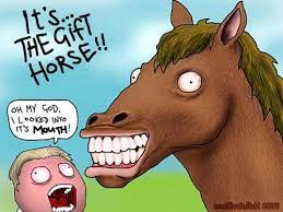 a gift horse in the mouth