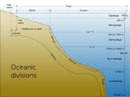 Aquatic Ecosystem Wikipedia