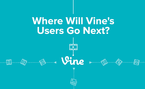 After The Shutdown News Where Will All Of Vines Users Go