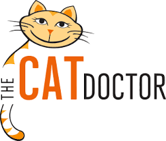 Our veterinarians offer a wide variety of medical. Cat Veterinarian In Philadelphia The Cat Doctor