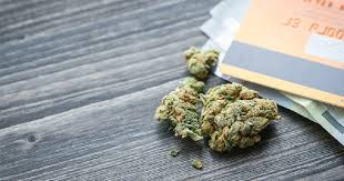 Check spelling or type a new query. Should You Get A California Medical Cannabis Card The Benefits