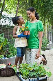 Teaching Gardening To Children Toddlers