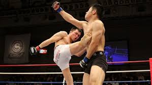 Doing so is a separate challenge in itself. What Are Mixed Martial Arts And Why China Could Post These Fighters On Ladakh Border