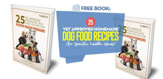 vet approved homemade dog food recipes
