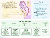 Image result for what types of infectious agents are teratogens