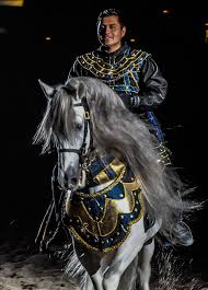 Medieval seamless pattern, knight on horse, ancient weapons. Medieval Times Knight And Horse Photograph By Gene Sherrill