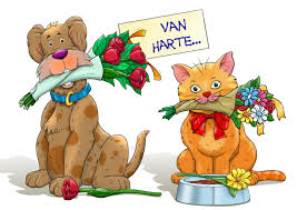 Afbeeldingsresultaat voor afbeelding hond gefeliciteerd