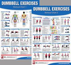 Details About Dumbbell Exercises Workout Professional Fitness Gym Wall Charts 2 Poster Set