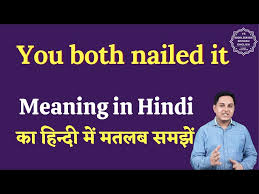 you both nailed it meaning in hindi