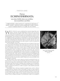 Pdf Phylum Echinodermata Sea Stars Brittelstars Sea