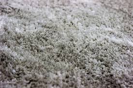 clean or replace your carpet