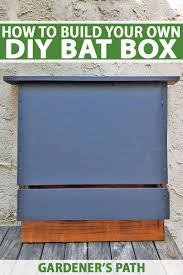 build a bat box with diy instructions