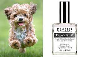 smell like your puppy s breath no