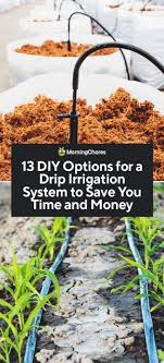 a drip irrigation system