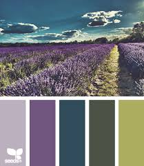 color inspiration purple green and