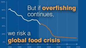 This Graph Shows We Can Reverse The Overfishing Crisis