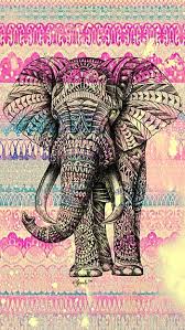 tribal elephant lucky elephant hd
