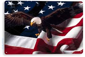 Eagle Wings American Flag Tin Sign