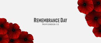 remembrance day poppy images browse