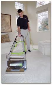 green solutions carpet cleaning salt