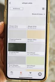 Choosing The Perfect Paint Color